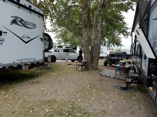 See the width of our spot here, we are trailer on right. Our awning couldn't extend due to that tree.