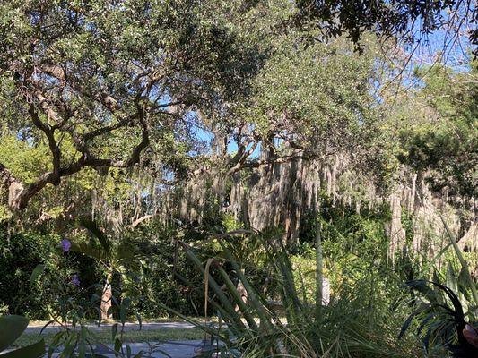 Pinellas Bike Path borders Home Plate patio.