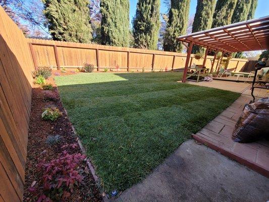 Complete backyard renovation