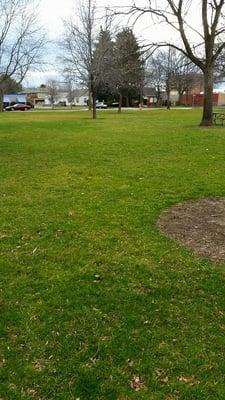 Green grass and lots of trees. ..what's not to like?