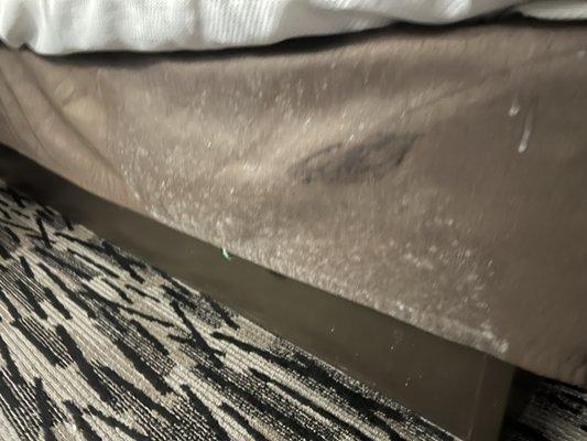 Mold on the bed skirt.