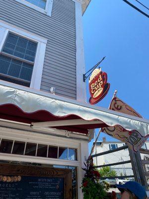 Maine- Red Cup coffee in Boothbay