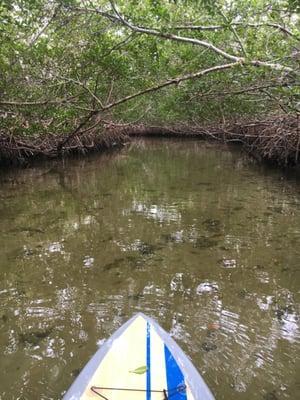 Paddling to a secluded lagoon!