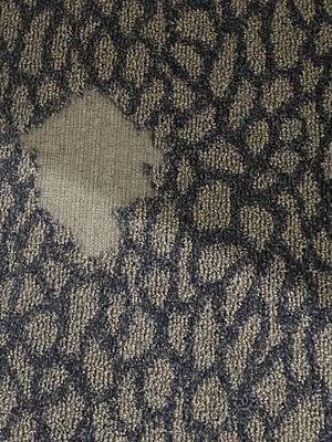 Holes in carpet