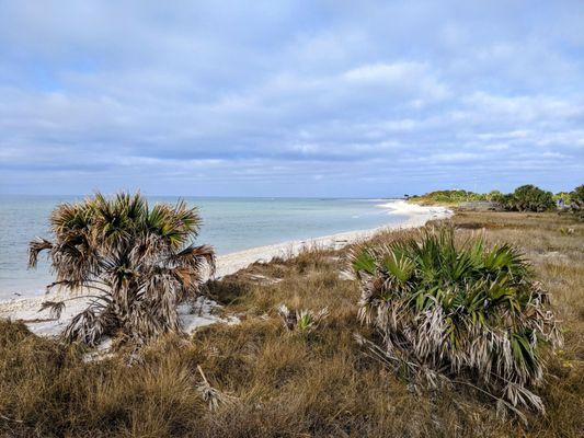 Caladesi Island State Park