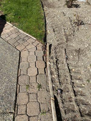 Damaged pavers and wooden flowerbed borders.