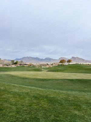 Green grass in Las Vegas