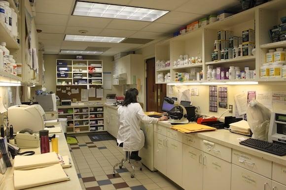 McLean Animal Hospital lab room