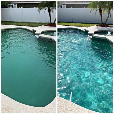 Before and after of a Westchase Florida pool. Call today for the best pool service in Tampa Florida.