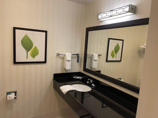 Nice bathroom in the King Suite!