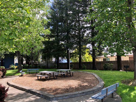 Our large lawn and picnic area