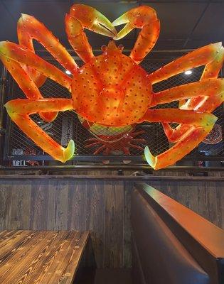 Beautiful "King Crab"