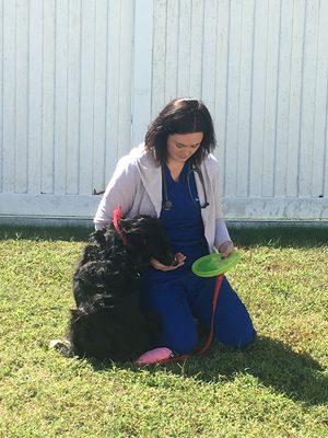 Fearful & nervous dogs can have their exams done outside w/ their favorite treats and toys. Let us help make the vet a positive experience!