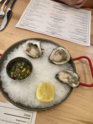 Oysters