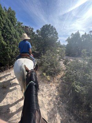 Trail leading