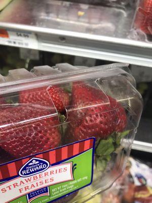 Moldy strawberries.