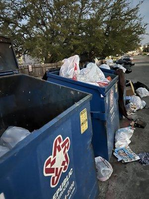 Even when there is an empty dumpster they will throw trash on side of the first one