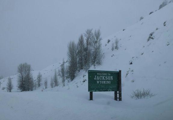 About seven or eight inches of snow in the last day. Beautiful to look at, not so much fun to drive in.