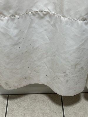 Mold in various stages on the shower curtain