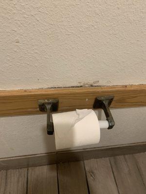 Mildew and dirt right above toilet paper holder.