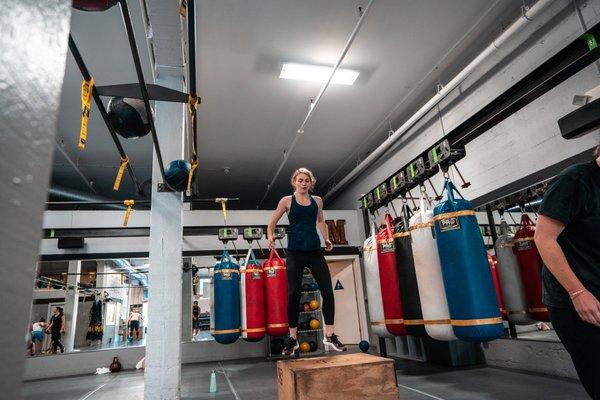 Box Jumps
  #boxing #SFgym #conditioning #fundamentals #boxinggym