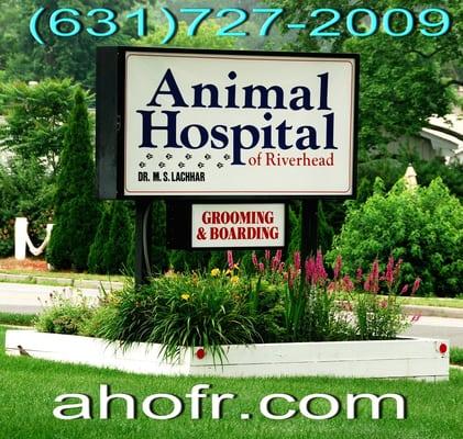 Riverhead Animal Hospital