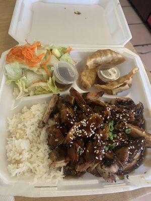 C. Teriyaki Chicken