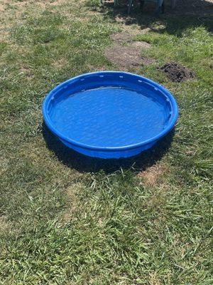 Dog pool on smaller dog side.