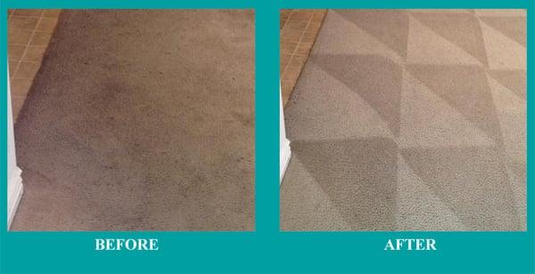 The Carpet Solutions - Park City Carpet Cleaning Professionals - Before and After