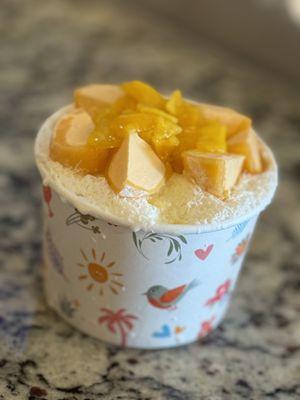 Mango Bingsoo (don't expect as much mangos/toppings as you see from the other pics)