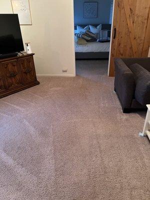 Eco Clean Carpet Cleaning