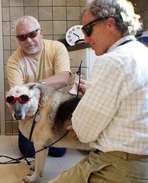 Laser Therapy