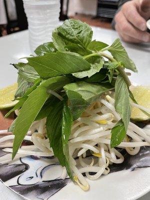 Super fresh basil, stouts and lime