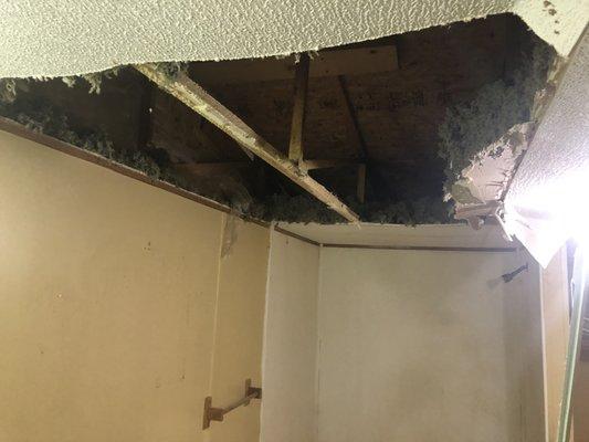 Ever had a ceiling collapse due to water damage? We understand time is of the essence in water damage restoration