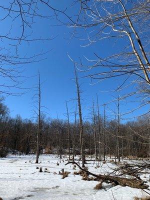 Highland State Recreation Area in the winter