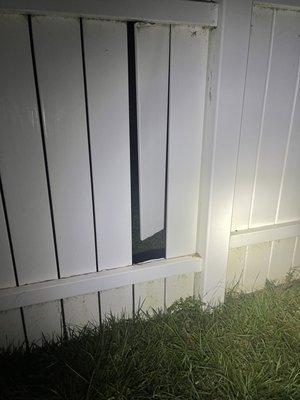 Broken fence