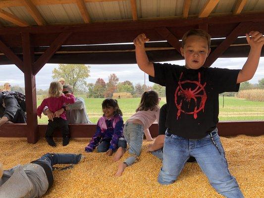 The kids loved the corn crib‼