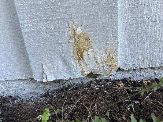 West Guard Termite Control