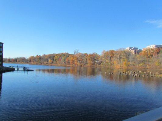 The lake is right next to the hotel