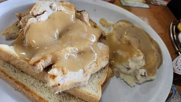 Hot Turkey (Open Faced) Sandwich with Mash Potatoes and Cranberry Jelly