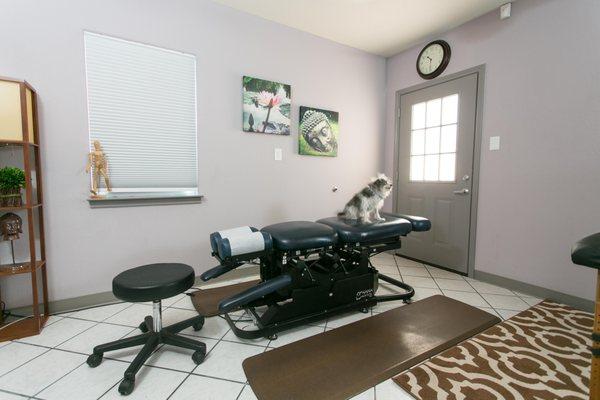 Where the chiro magic happens! (Fluffy helper optional but encouraged.)