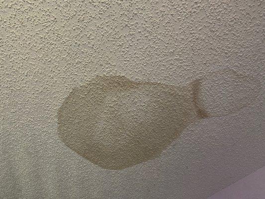 A stain that appeared during the roof replacement, we were told "nothing we can do, just call us if it ends up opening up."