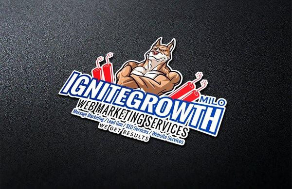 Ignitegrowth Web Marketing Services