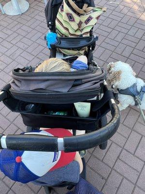 The baby, toddler and dog right before the wheel broke