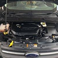 Engine bay cleaning and dressing, "We got you covered"