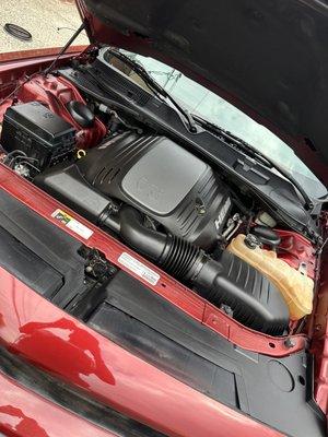 Engine Bay Detail.