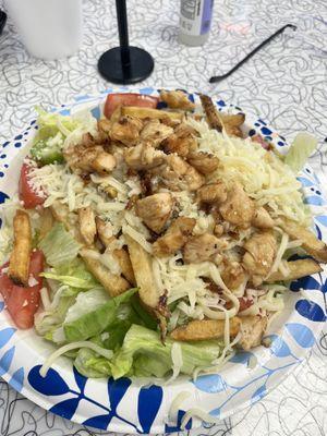 Grilled chicken salad