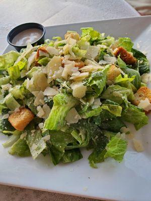 HUGE Caesar Salad