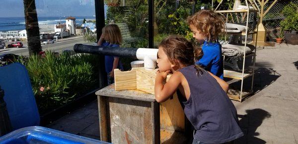 Exploring the best view in malibu... loose parts created his own telescope to watch the dolphins