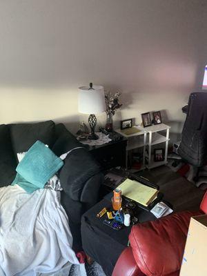 Other half of living room